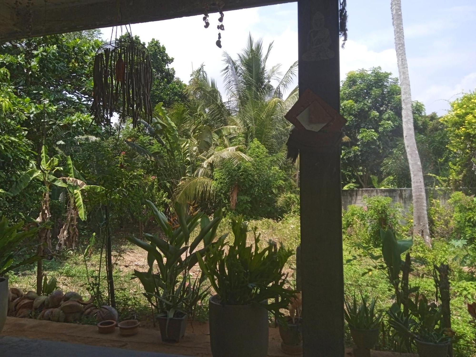 Julianu Hotel Tangalle Exterior foto